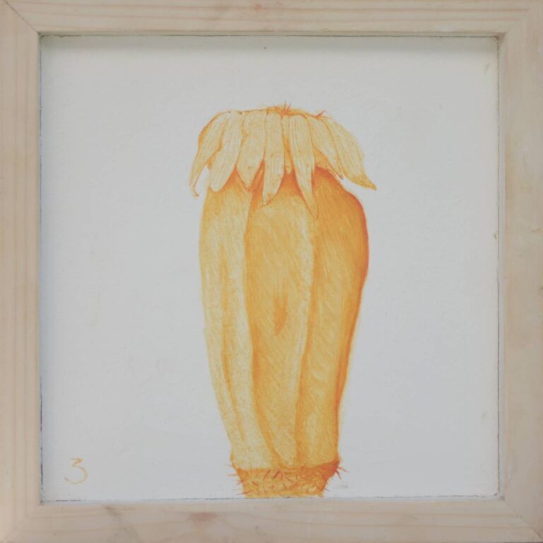 Brushwood(2), fresco in wood frame, 20x20cm, 2018